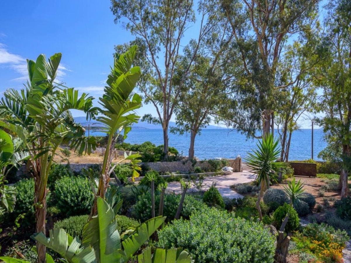 Aeolos A Family Paradise Few Steps From The Beach Κουβέρτα Εξωτερικό φωτογραφία