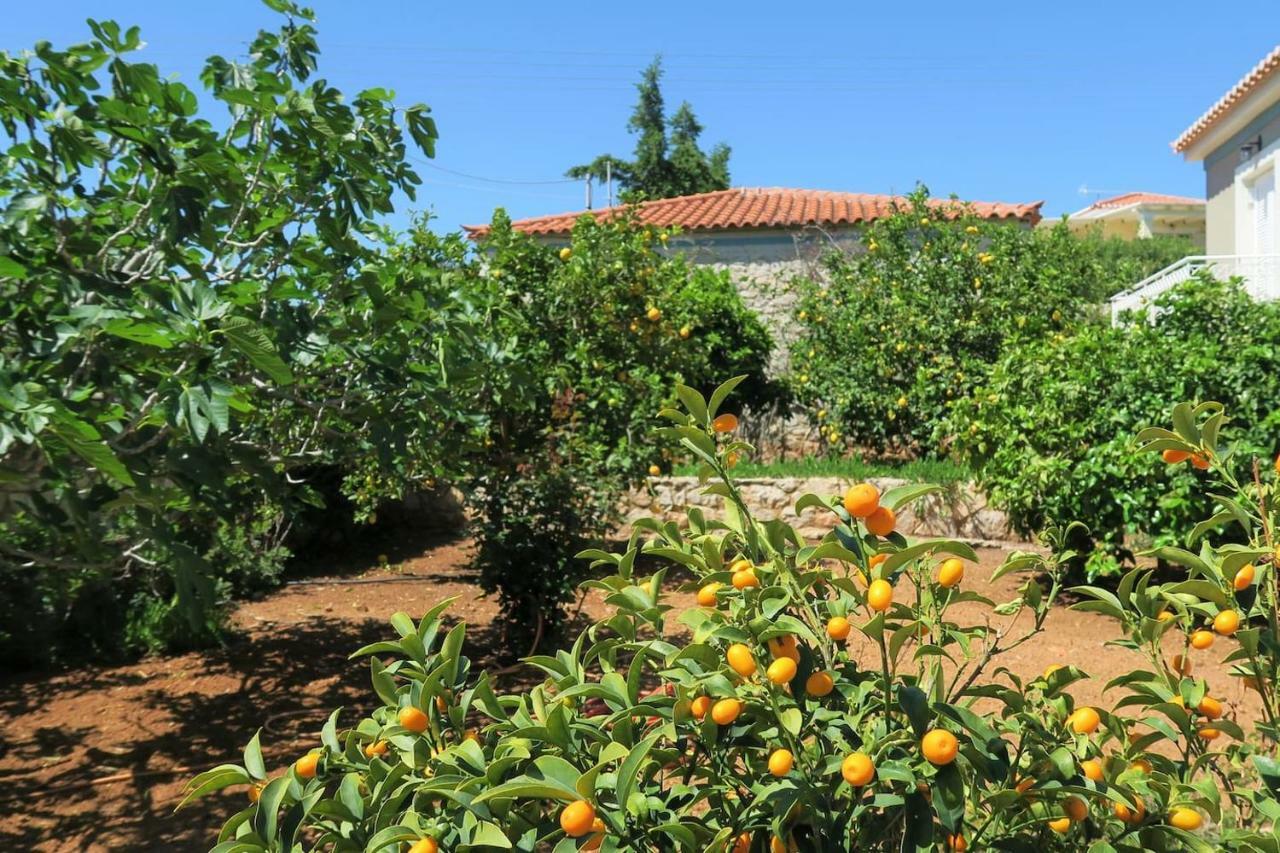 Aeolos A Family Paradise Few Steps From The Beach Κουβέρτα Εξωτερικό φωτογραφία